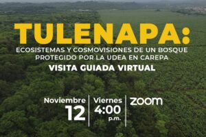 Tulenapa Ecosistemas Y Cosmovisiones De Un Bosque Protegido Por La